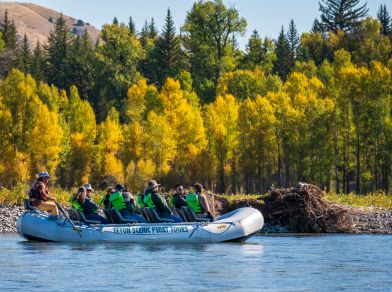 raft looking at beaver dam on a snake river scenic float