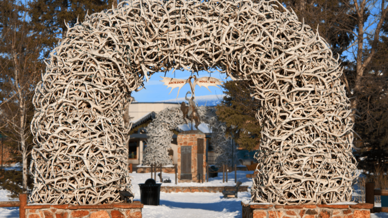 Best Family Activities in Jackson Hole