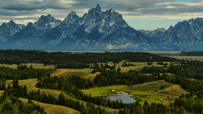 The Best Time to Visit Jackson Hole