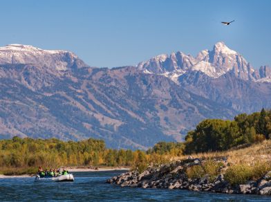 eagle, scenic float trip, and teton views