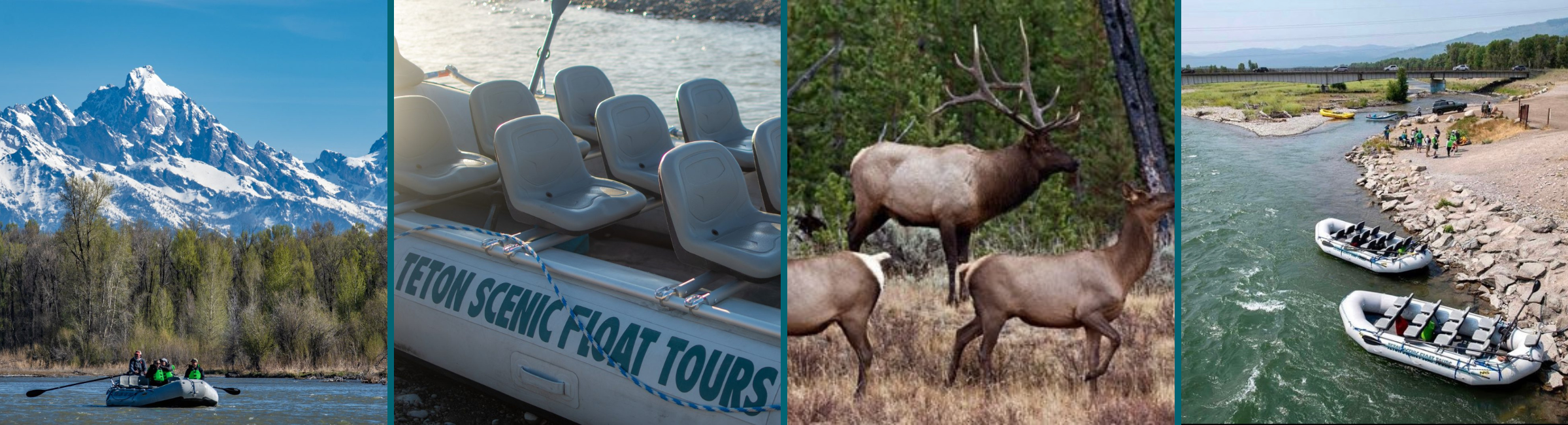 collage of snake river float trips