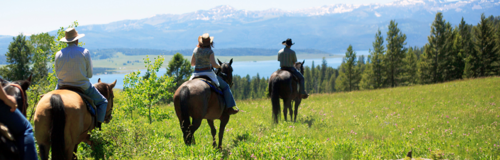 horseback riding on a trip from jackson to bozeman