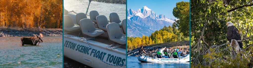 best time to raft in jackson hole