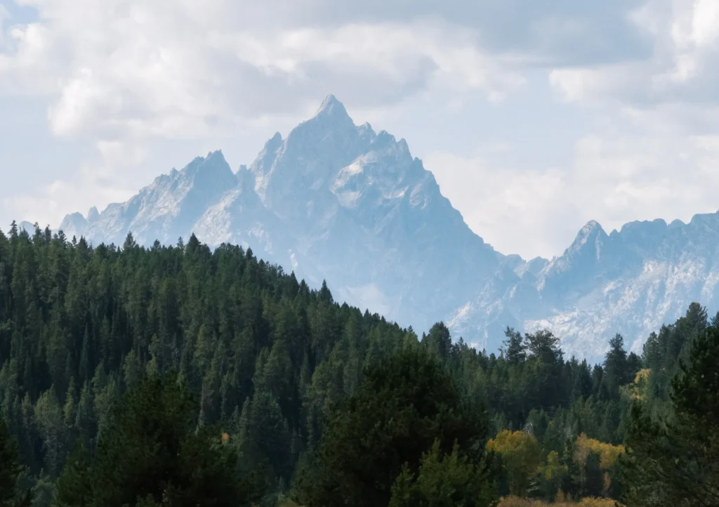 mountains and trees outside of jackson hole