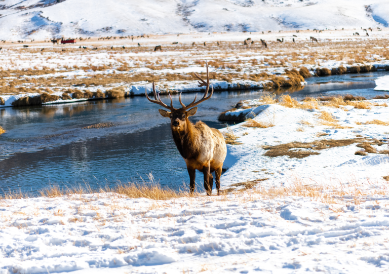 Hot Springs Near Jackson Hole: Winter Soaking Guide